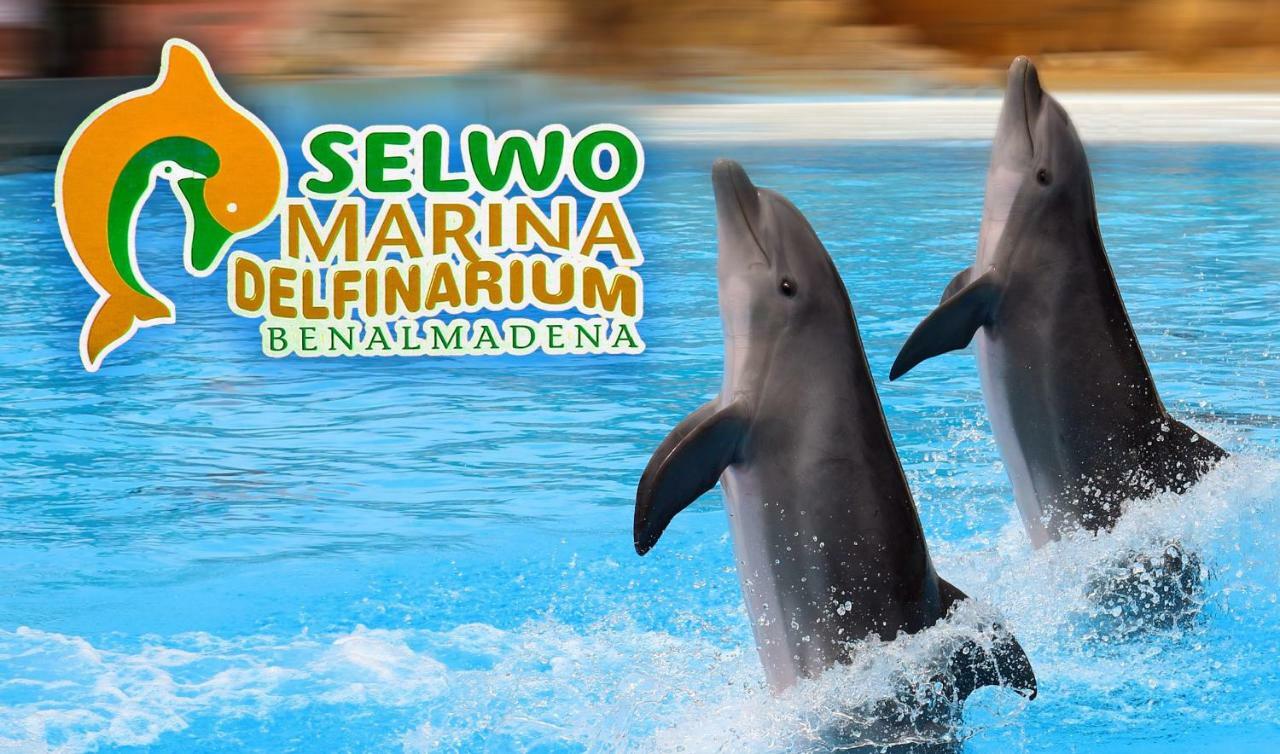 Apartamento Acuario Benalmádena Εξωτερικό φωτογραφία
